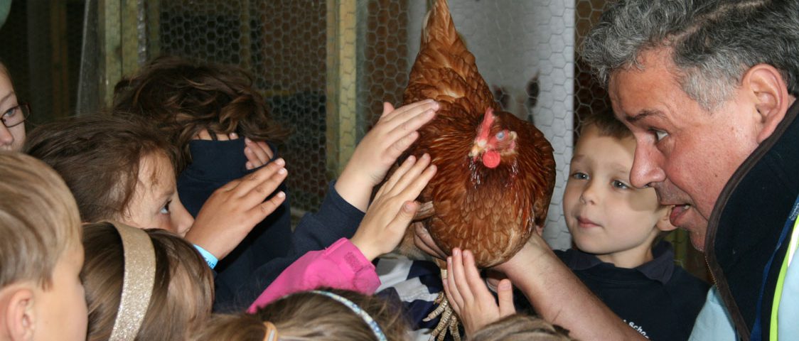 Chickens make children egg-cited