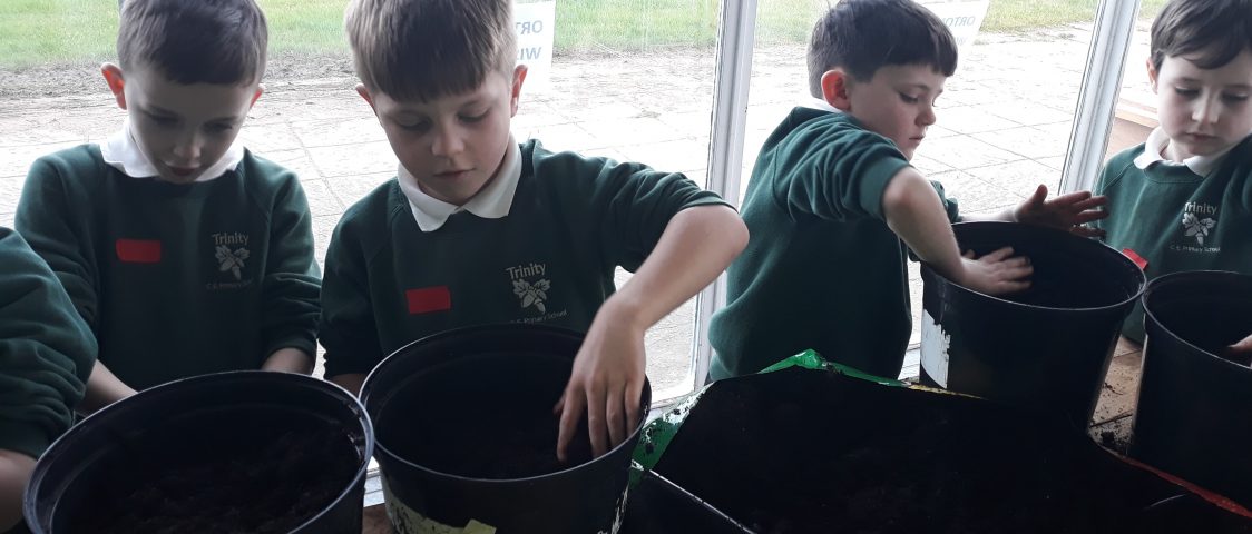 Over three hundred school children Grow Your Own