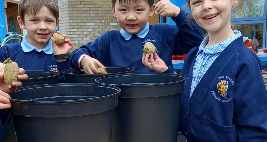 Cambridge school children consider where their food comes from